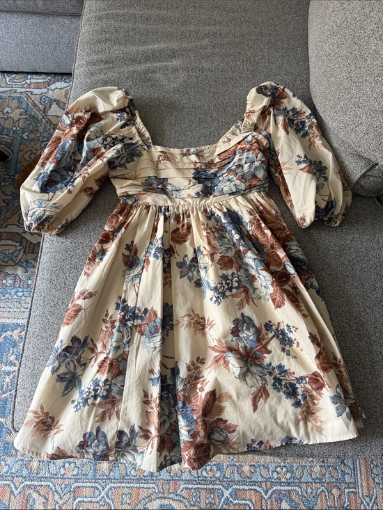 Abercrombie & Fitch Dresses & Skirts - Abercrombie & Fitch Cream Floral Puff-Sleeve Mini Dress with Blue & Brown Blooms